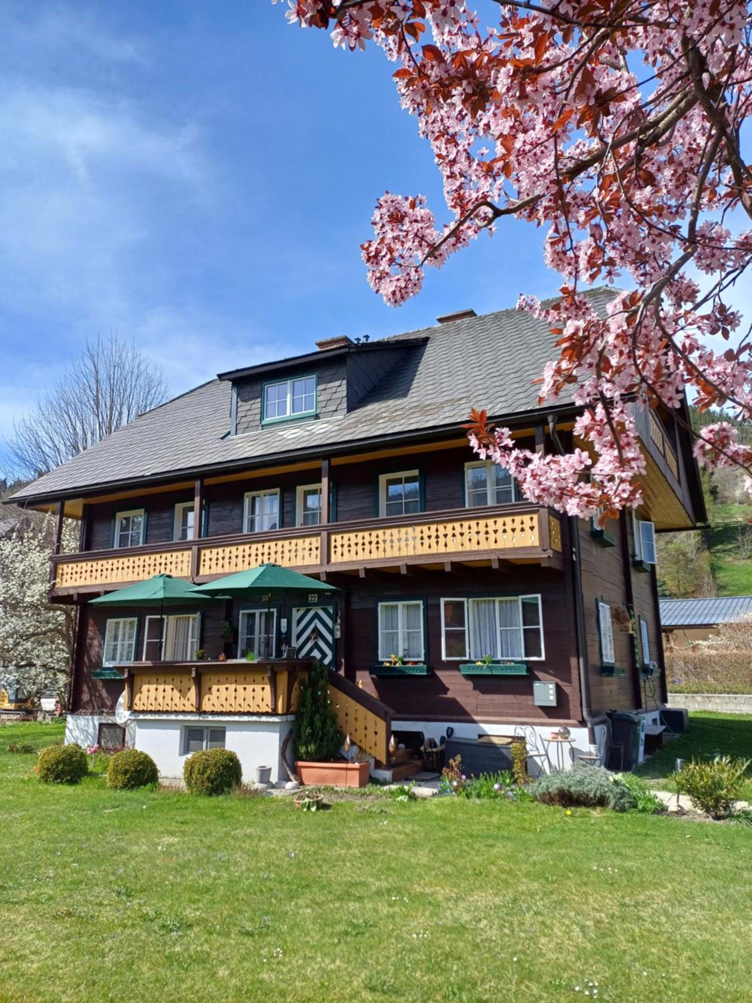 Apartment Steiner *