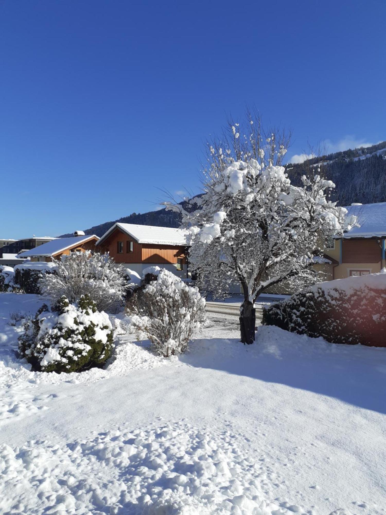 Apartment Steiner Schladming